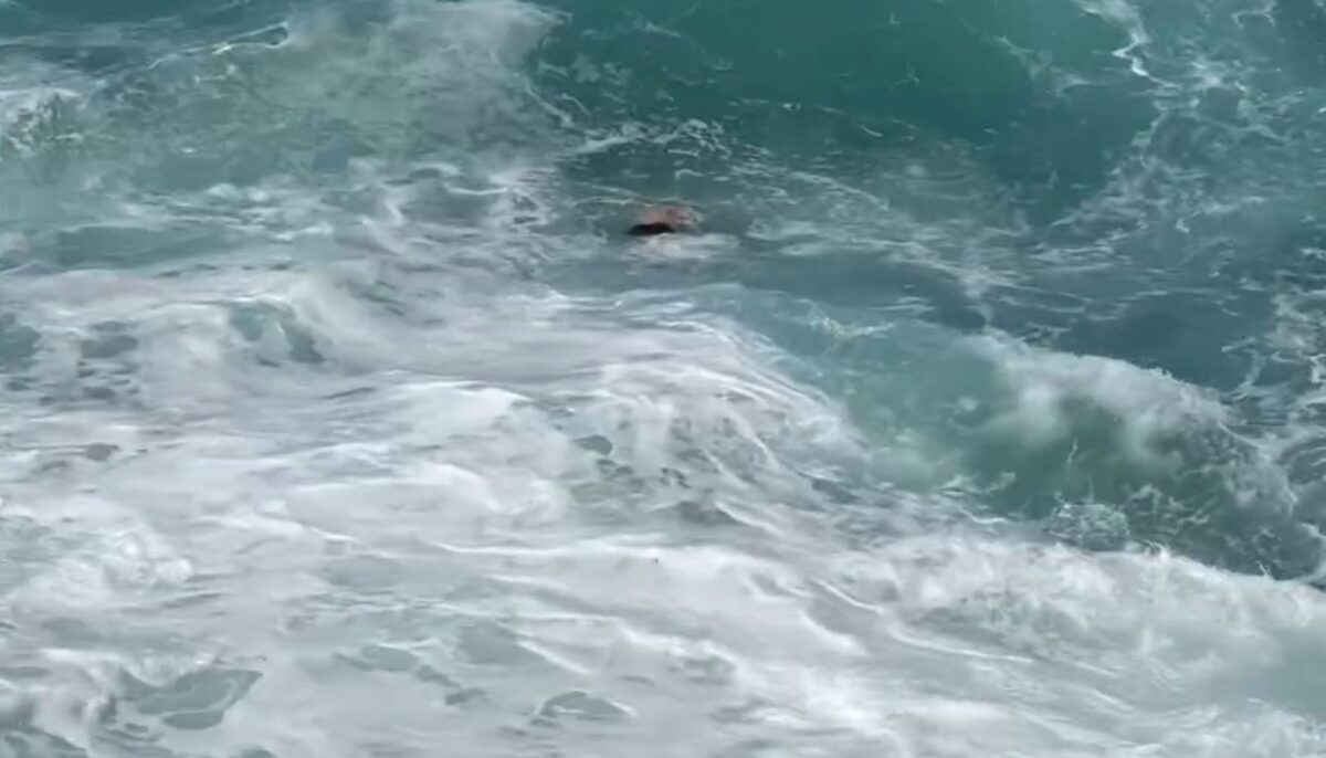 Wisatawan asal Sumatera Utara, Roni Joshua Simanjuntak terseret ombak di Pantai Kedung Tumpang, Tulungagung, Minggu (13/10/2024) pagi (Redaksi / Kabarterdepan.com) 