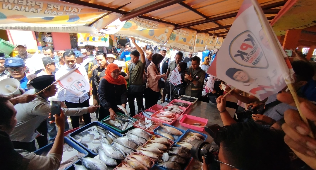 Screenshot 20241021 160846