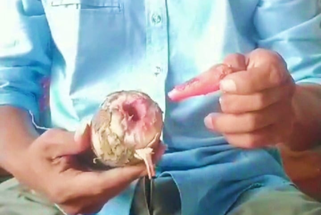 Screenshot 20241025 174645