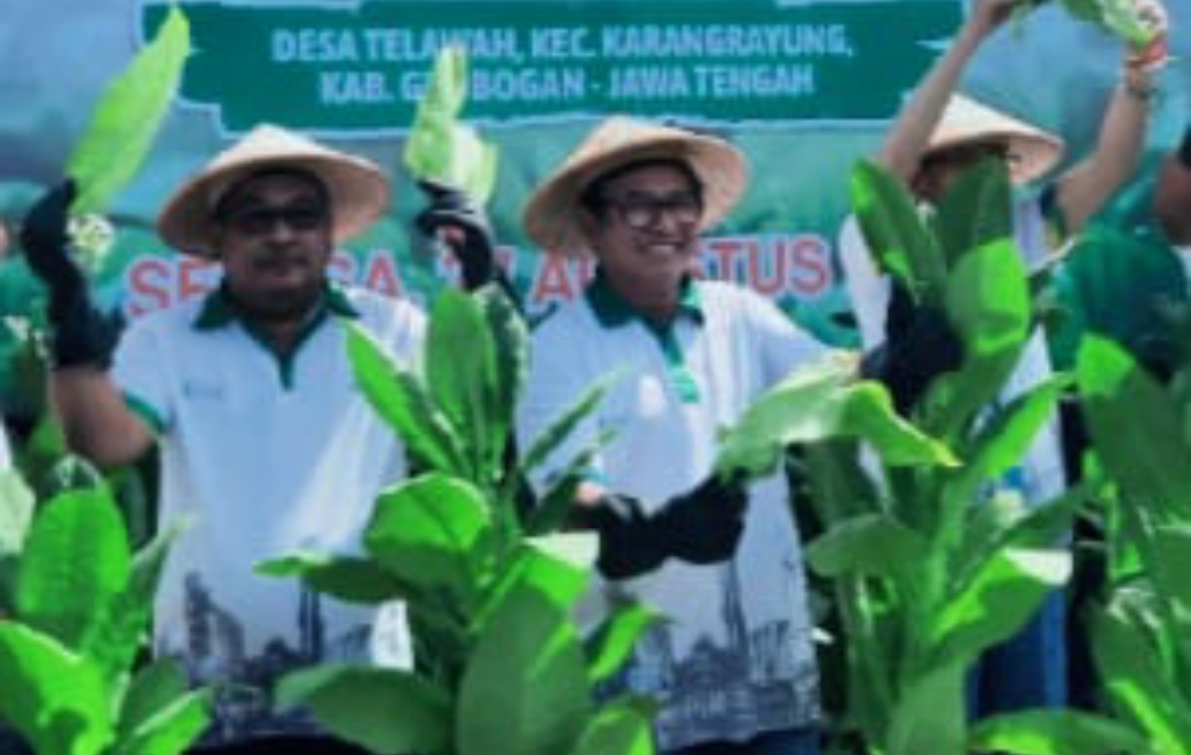 Screenshot 20241029 235940