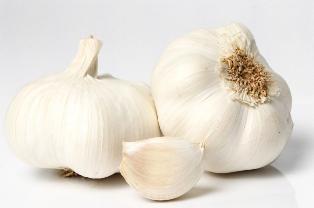 WhatsApp Image 2024 10 03 at 9.24.47 AM