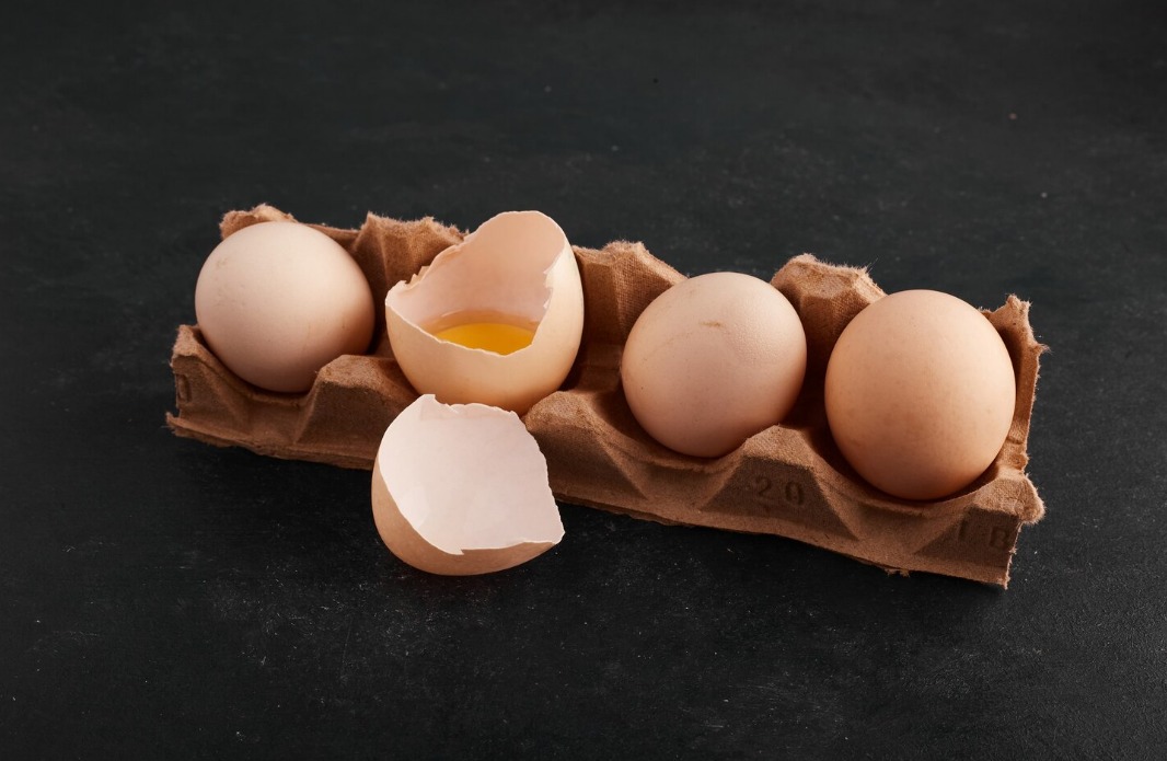 WhatsApp Image 2024 10 12 at 9.33.27 AM