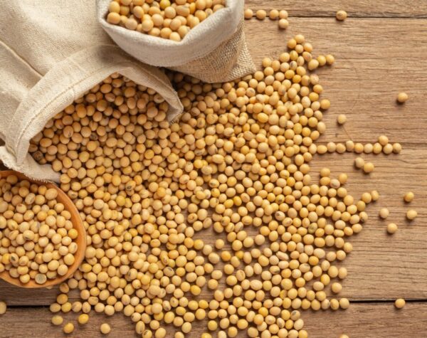 Simak Perkembangan Harga Kacang Kedelai Se-Jawa Timur Hari Ini