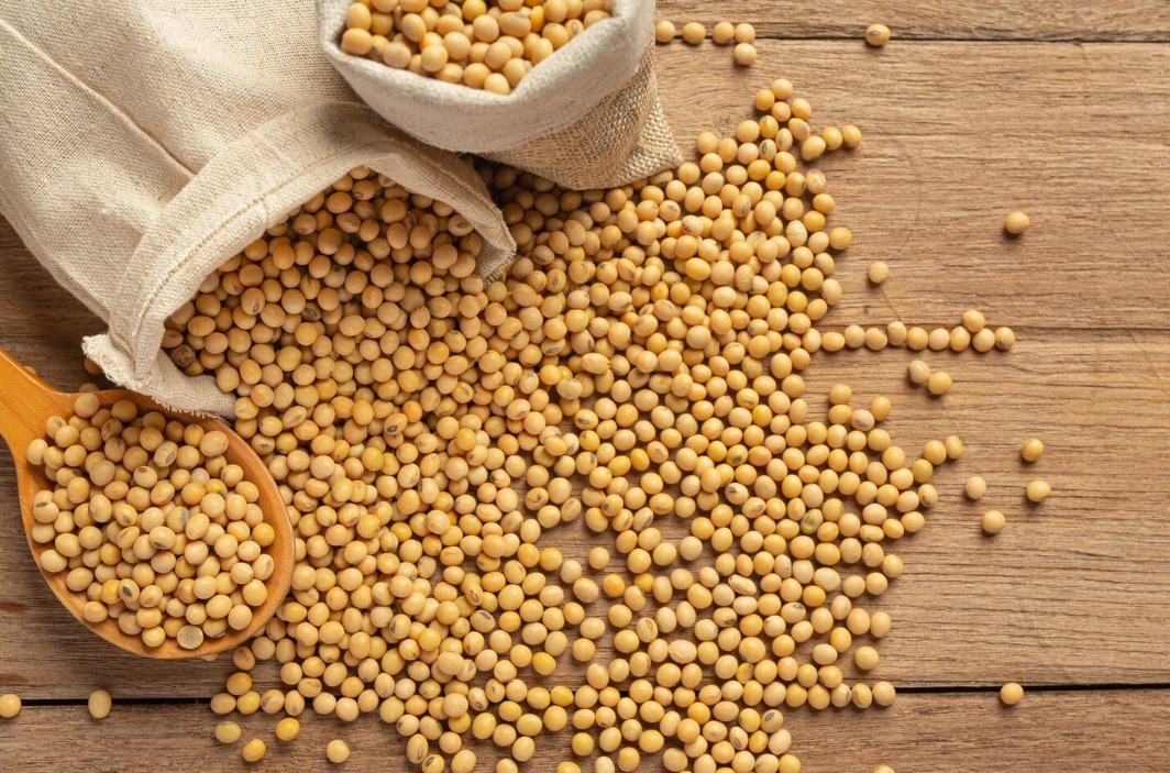 WhatsApp Image 2024 10 14 at 10.18.42 AM