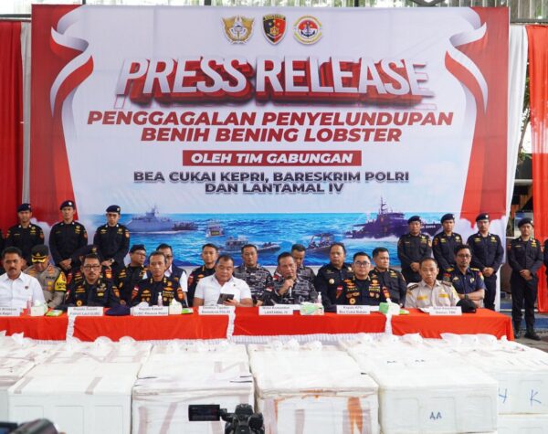 Tim Gabungan Gagalkan Penyelundupan 237.305 Benih Bening Lobster Senilai Rp 23,6 Miliar