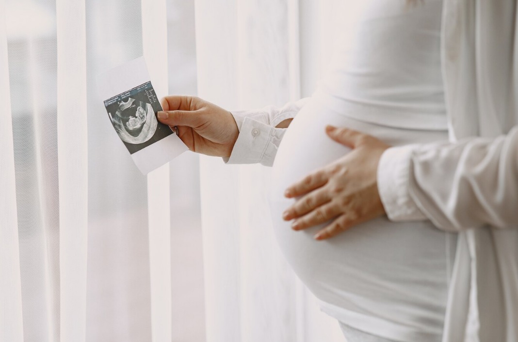 WhatsApp Image 2024 10 23 at 1.33.46 PM