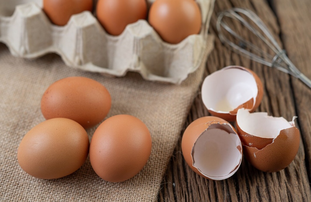 WhatsApp Image 2024 10 24 at 9.11.52 AM