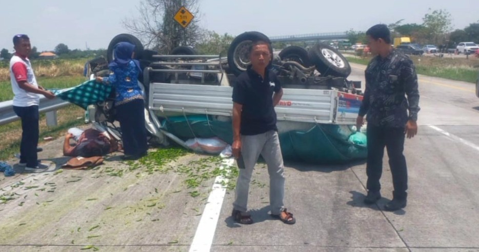 WhatsApp Image 2024 10 30 at 10.56.58 AM