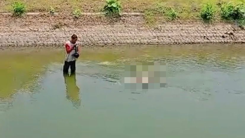 WhatsApp Image 2024 10 30 at 11.29.22 AM