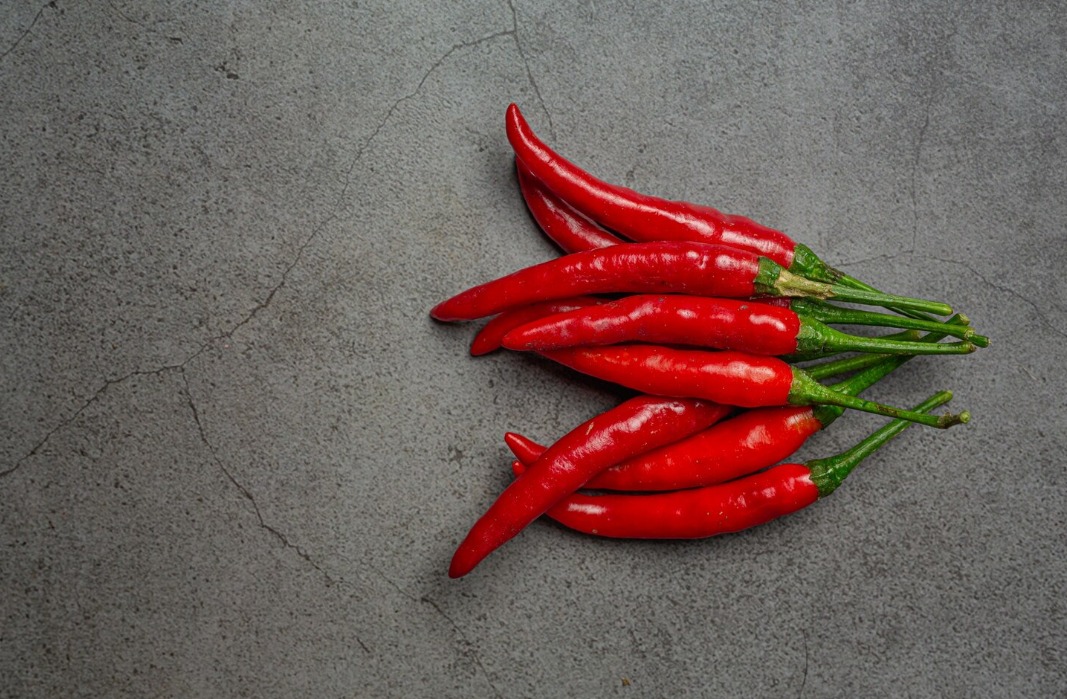 WhatsApp Image 2024 10 30 at 12.17.50 PM 1 WhatsApp Image 2024 10 30 at 12.17.50 PM