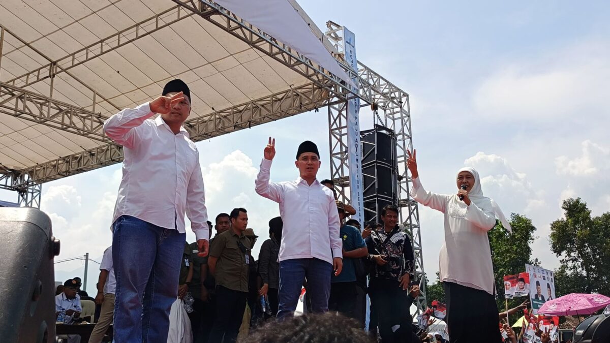 DDF98FE2 5A3E 4665 A988 EDB22A6DA9AB