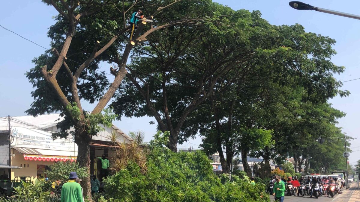 IMG 20241106 WA0012 11zon scaled