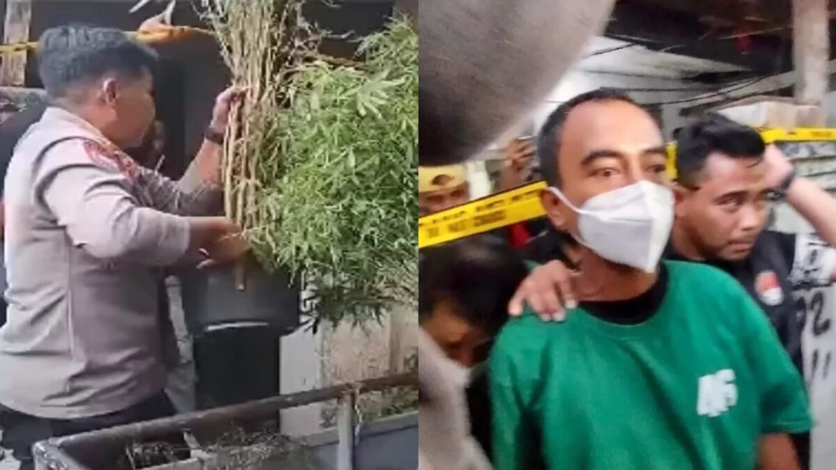 IMG 20241116 WA0013 scaled