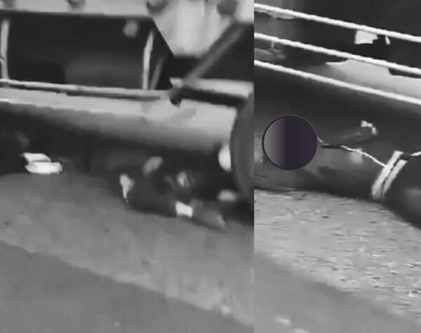 Kecelakaan Fatal di Jakarta Barat, Truk Hantam 8 Kendaraan