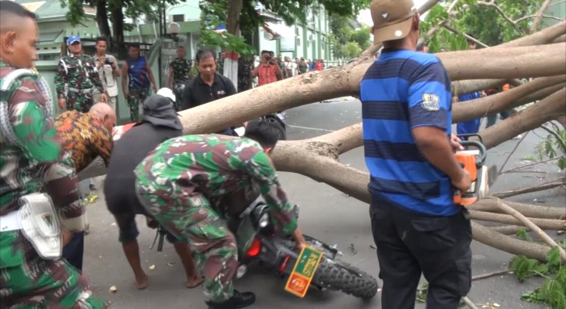 Kondisi motor dinas TNI yang sedang terparkir tertimpa pohon di depan kantor Korem 082 dekat Alun-alun Kota Mojokerto Kota Mojokerto, Kamis (28/11/2024) sekitar pukul 12.00 WIB (Redaksi / Kabarterdepan.com) 