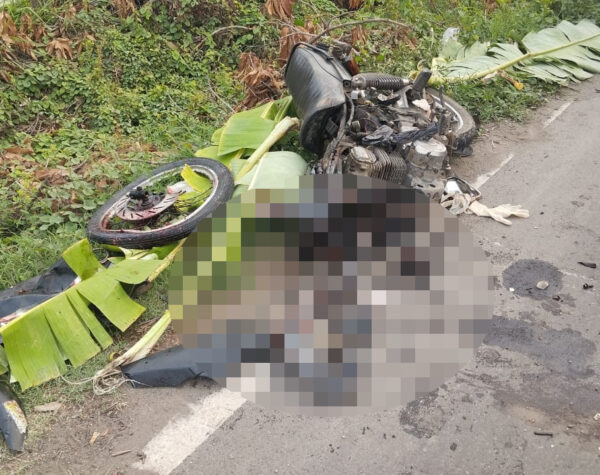 IMG 20241126 221644 1 Kondisi motor korban Muhammad Nawi (47) asal Desa Sumberwaru, Wringinanom, Kabupaten Gresik usai terlindas truk gandeng saat melintas di Jalan Raya Desa Perning, Kecamatan Jetis, Kabupaten Mojokerto, Selasa (26/11/2024) pagi (Andy / Kabarterdepan.com)