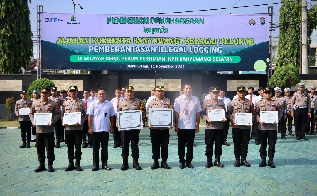 Screenshot 20241111 155157