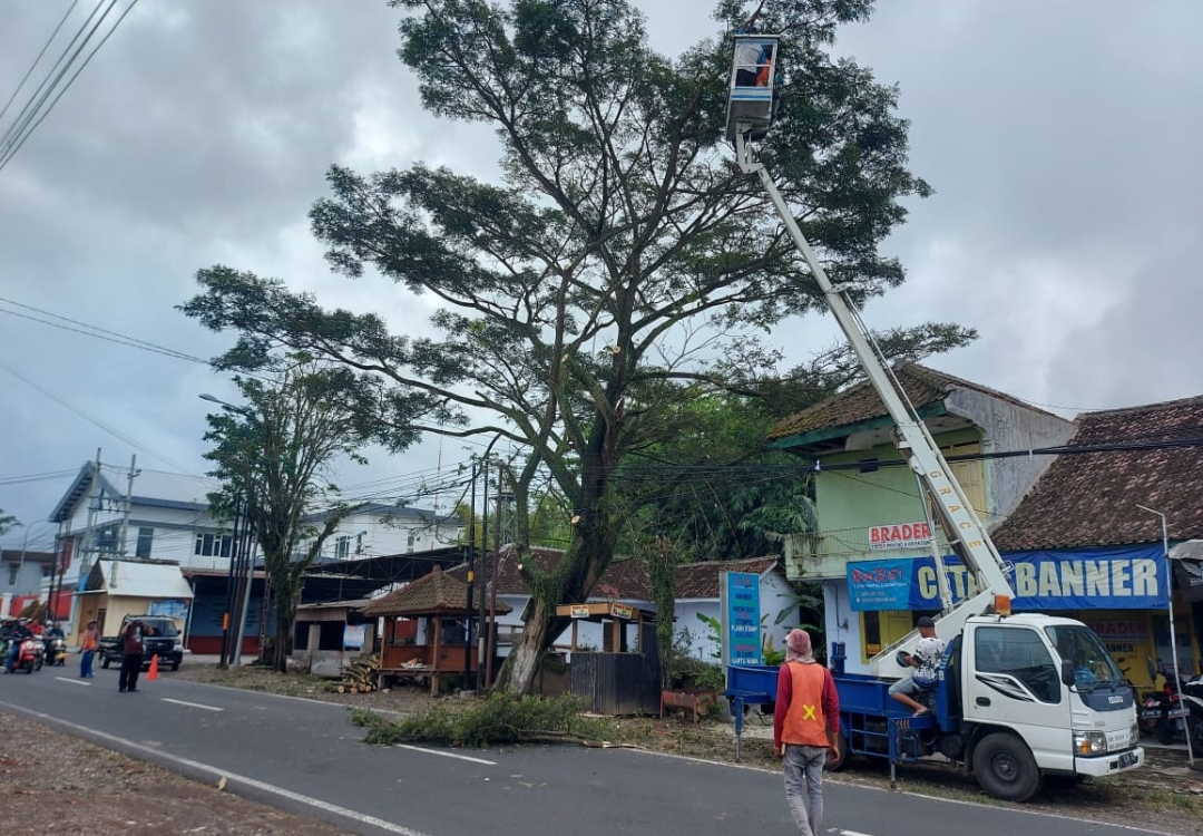 Screenshot 20241112 193533