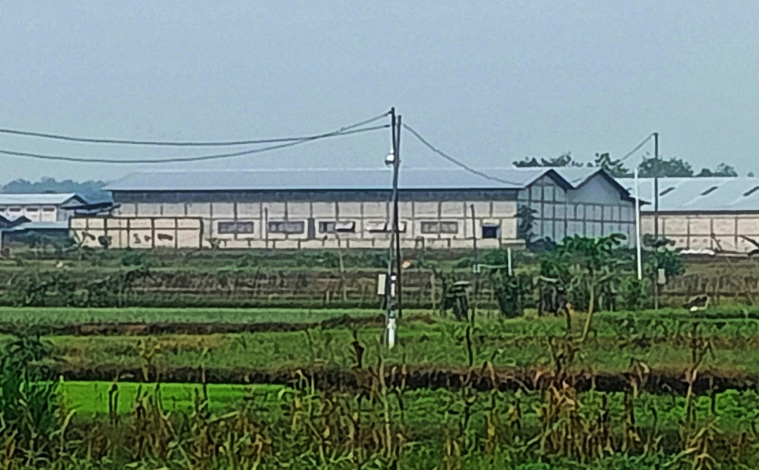 Diskumindag Sragen Sebut Industri Batik di Pungsari Masuk Klasifikasi Usaha Mikro, Ini Faktanya