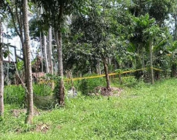 Bocah 7 Tahun di Banyuwangi Dibunuh, Begini Kronologi yang Beredar di Masyarakat