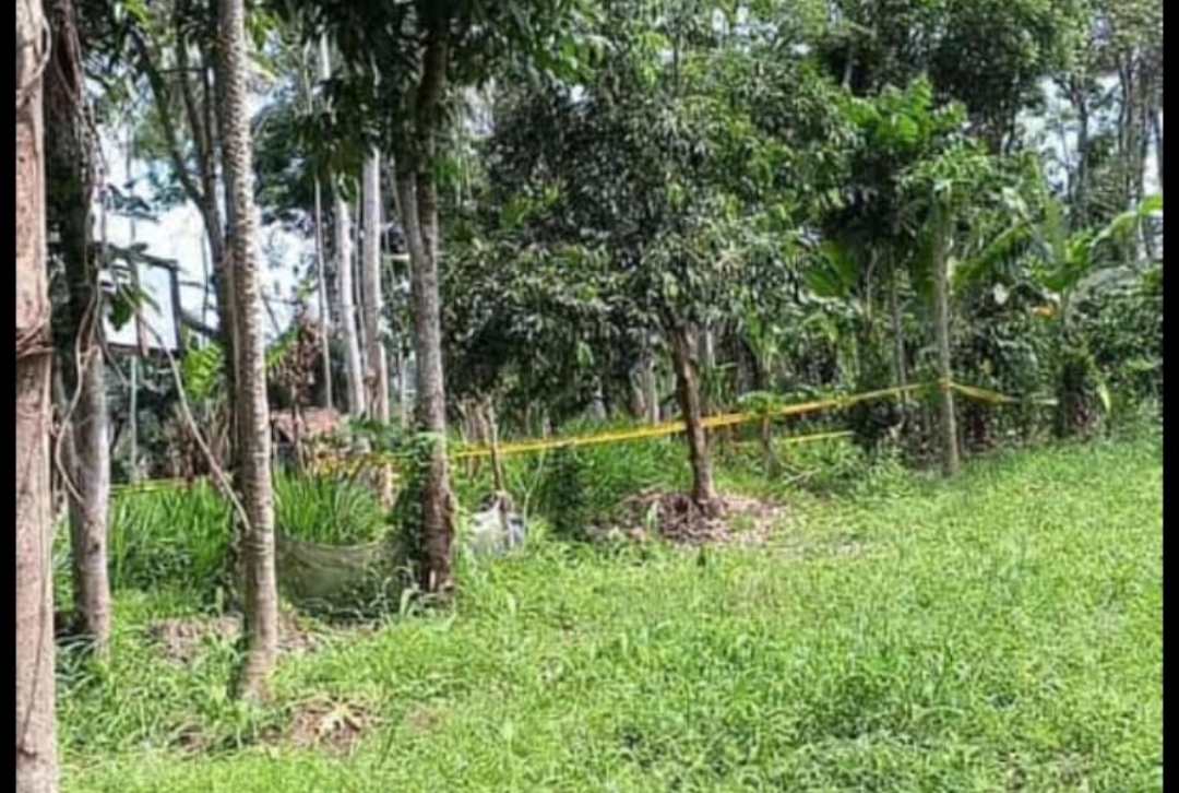 Screenshot 20241113 200836