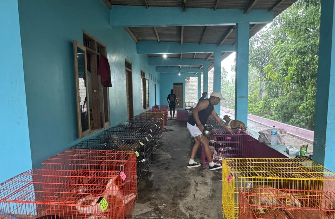 Screenshot 20241119 224746