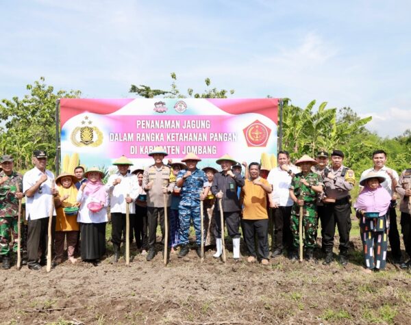 Polres Jombang Bersama Forkopimda Tanam Jagung di Kecamatan Tambelang Wujudkan Ketahanan Pangan