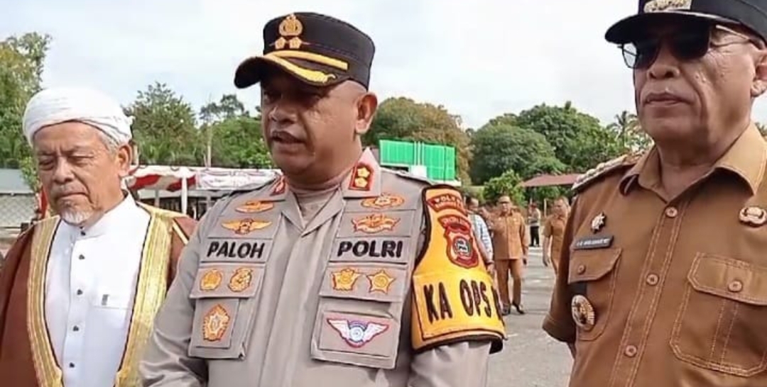 Screenshot 20241125 195349