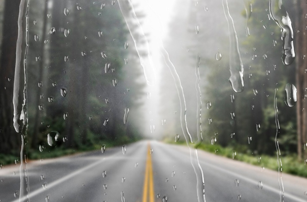 WhatsApp Image 2024 11 01 at 10.57.22 AM