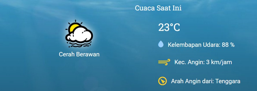 WhatsApp Image 2024 11 02 at 9.09.41 AM