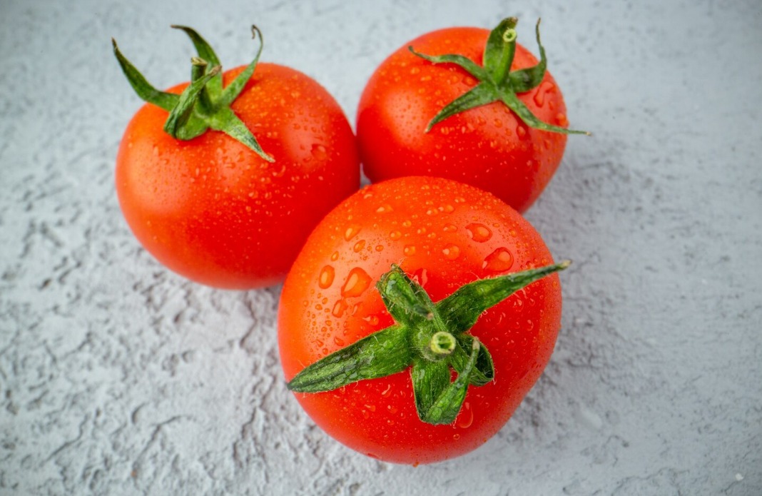 WhatsApp Image 2024 11 04 at 11.54.03 AM