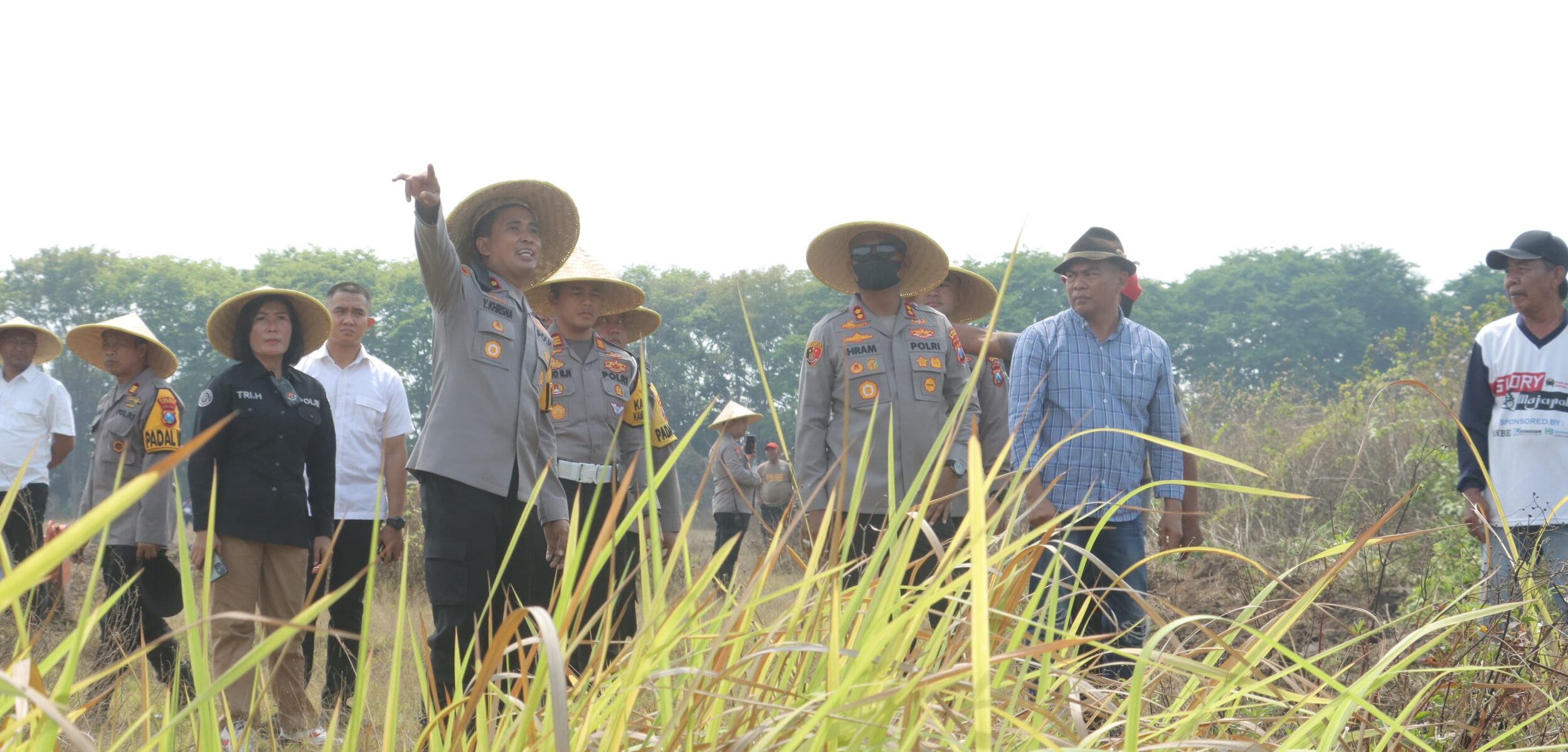 WhatsApp Image 2024 11 04 at 14.19.13 1ea27bb5