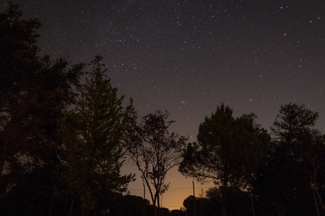 Ilustrasi cuaca cerah malam hari. (freepik)