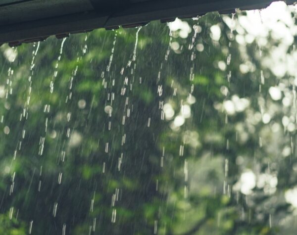 Cuaca 13-14 Juni 2025 di Kabupaten Mojokerto, Diprakirakan Hujan