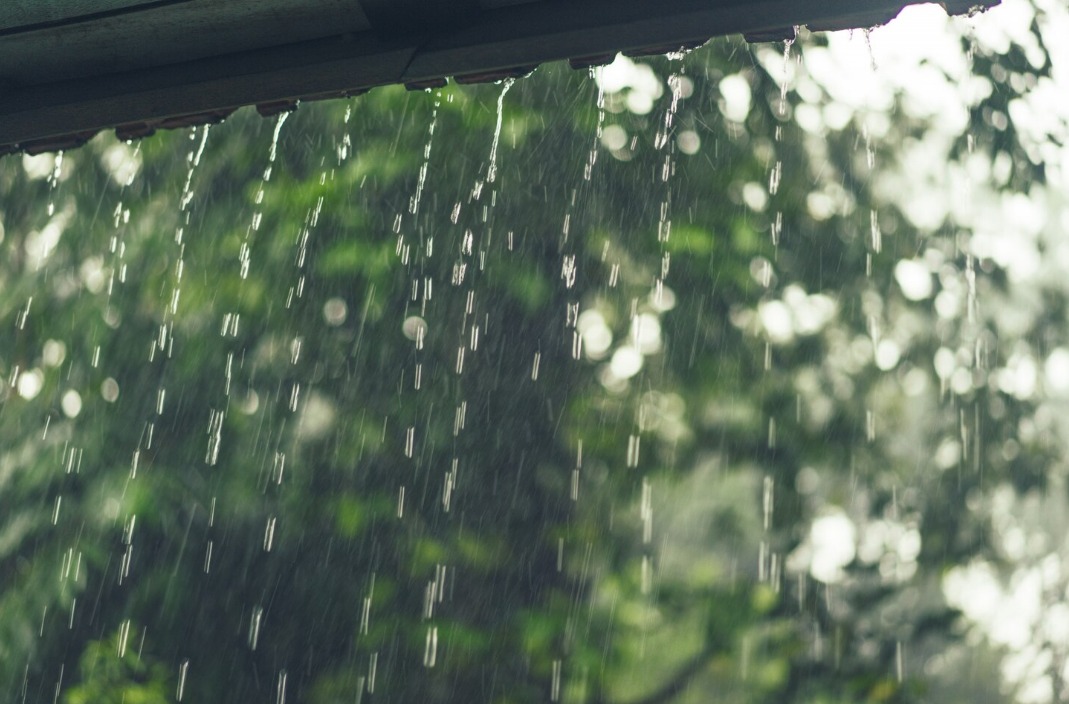 WhatsApp Image 2024 11 06 at 8.53.33 AM