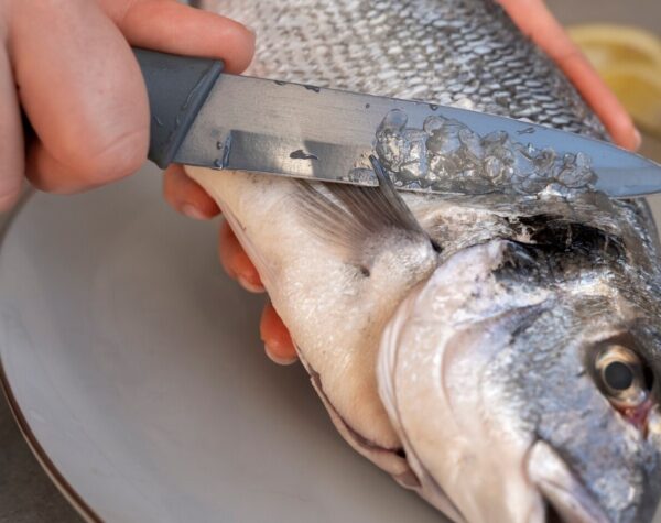 Fluktuasi Harga Ikan Bandeng di Jawa Timur: Sampang Tertinggi, Pacitan Terendah