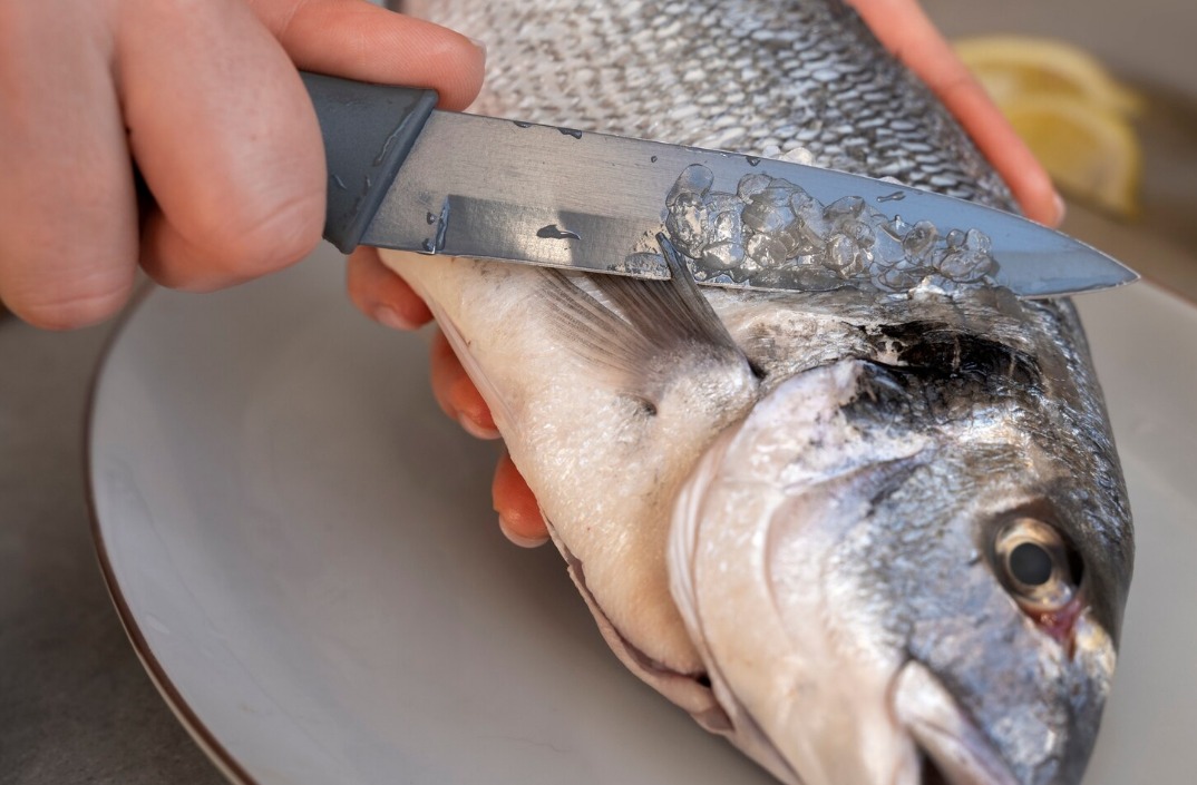 WhatsApp Image 2024 11 07 at 1.35.42 PM