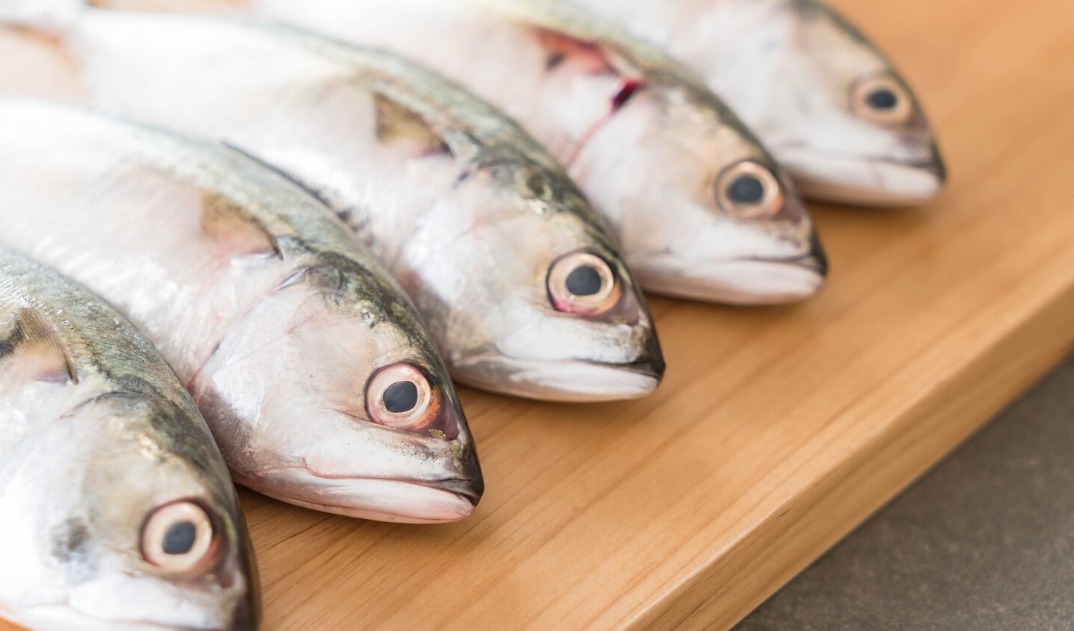 WhatsApp Image 2024 11 13 at 2.18.56 PM 1 Ilustrasi ikan bandeng. (freepik)