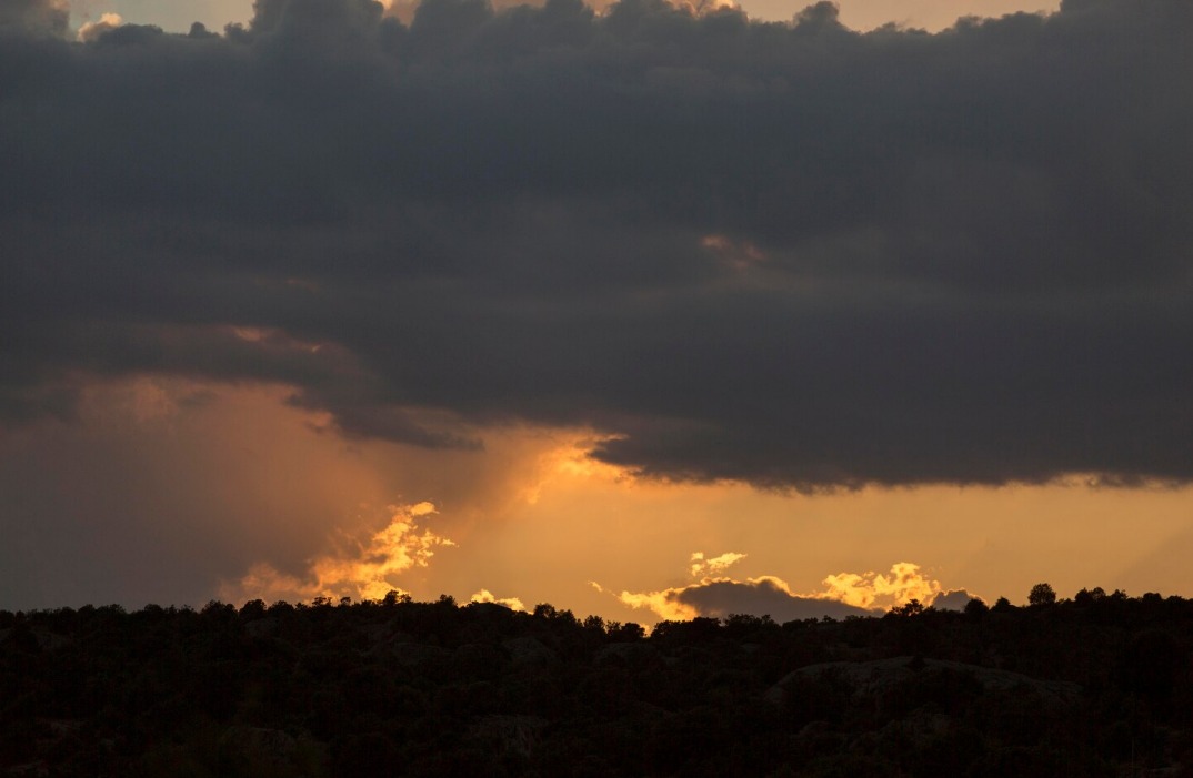 WhatsApp Image 2024 11 15 at 9.15.12 AM