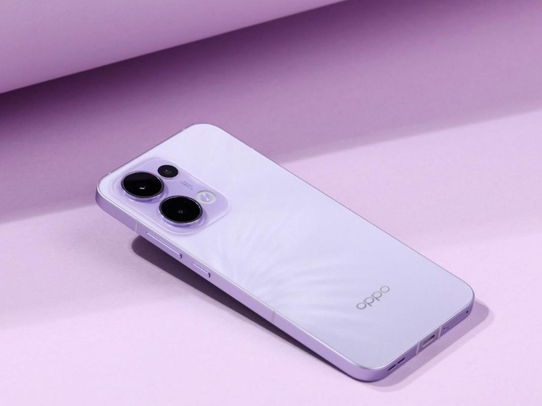 WhatsApp Image 2024 11 18 at 3.25.07 PM