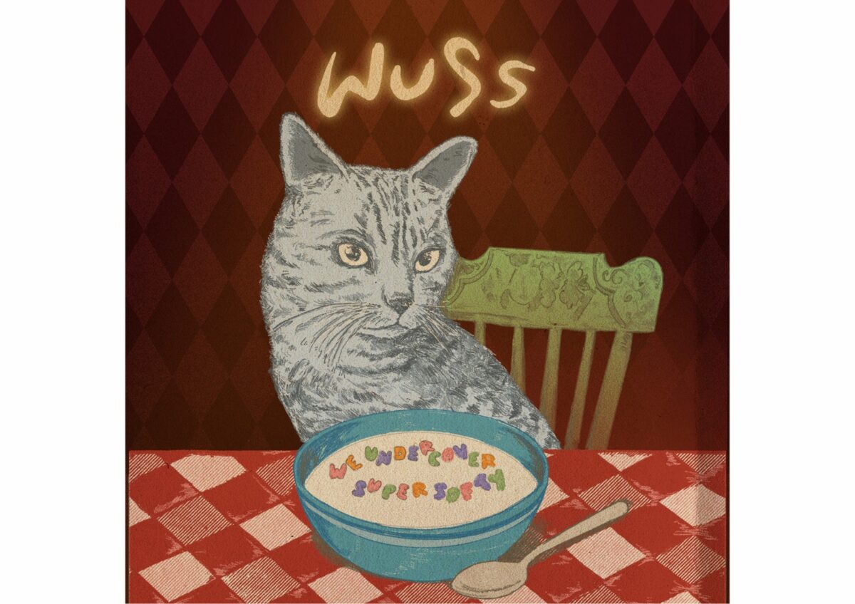 WhatsApp Image 2024 11 19 at 9.13.17 AM