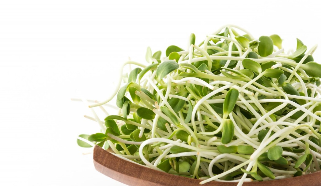 WhatsApp Image 2024 11 20 at 3.33.46 PM