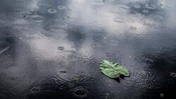 Prakiraan Cuaca Besok di Jawa Timur, Waspada Hujan Ringan Disertai Petir