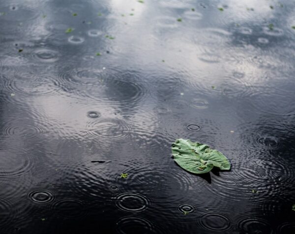 Prakiraan Cuaca Jawa Tengah: Besok (30/10) Diprakirakan Hujan