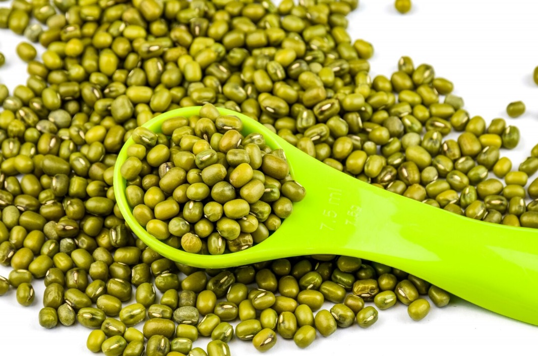 Ilustrasi kacang hijau (freepik)