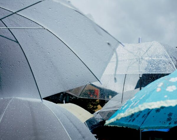 BMKG Prediksi Kota Mojokerto Diguyur Hujan Ringan Besok, 22 Januari 2025