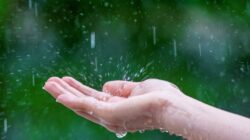 Cuaca Kota Mojokerto 15-16 Februari 2026, Hujan Merata