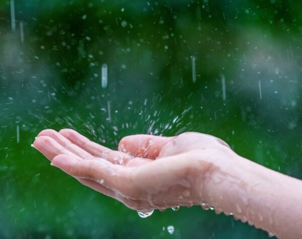 Prakiraan Cuaca Kabupaten Mojokerto Hari Ini dan Besok 29 Januari 2025, Akankah Hujan?