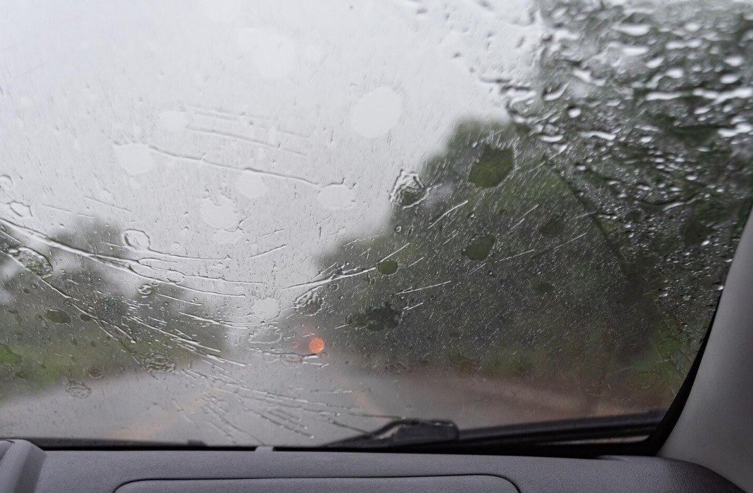 WhatsApp Image 2024 11 22 at 9.42.55 AM