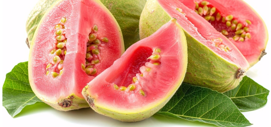 WhatsApp Image 2024 11 25 at 2.22.25 PM